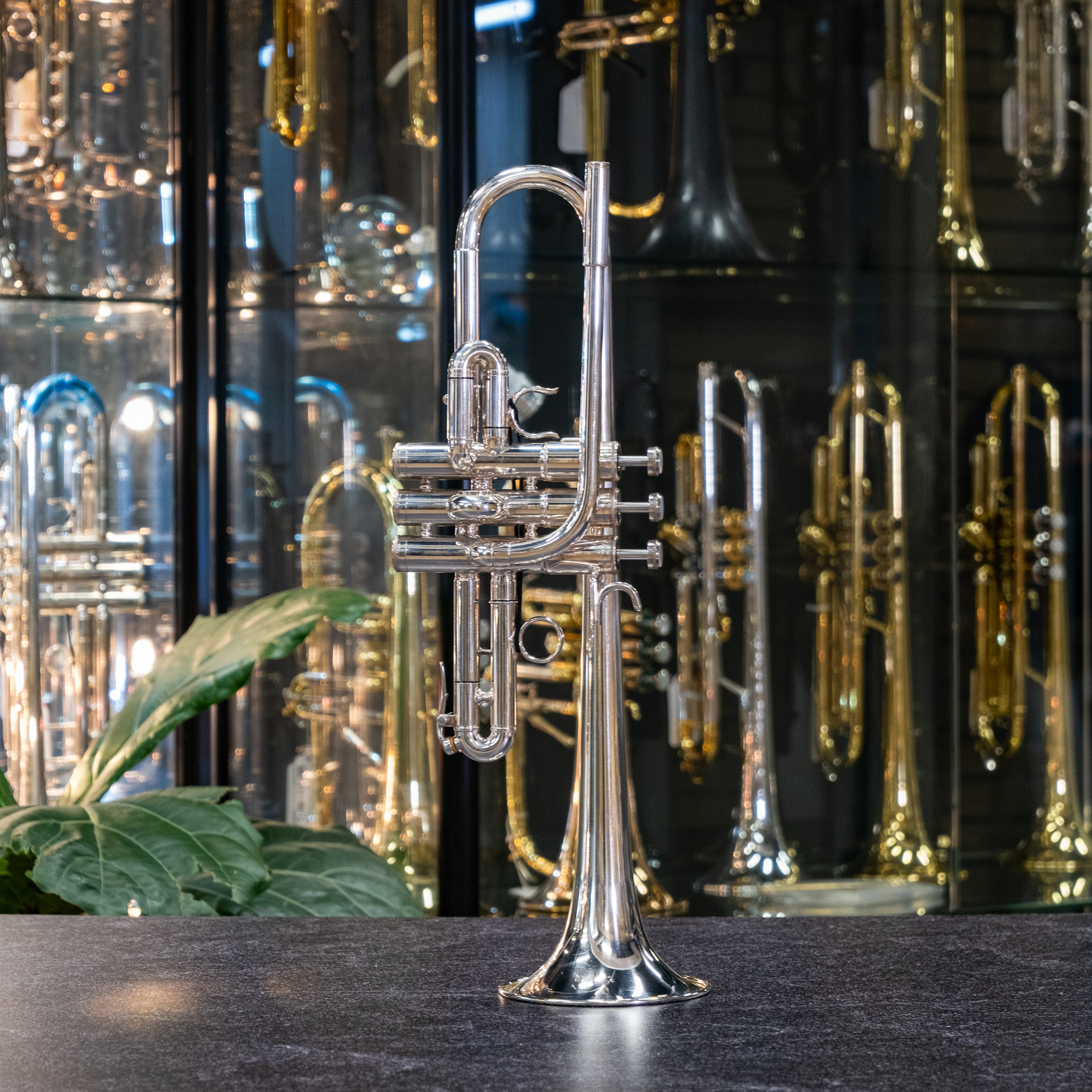 Jeninga D/Eb Trumpet w/ Triple Case