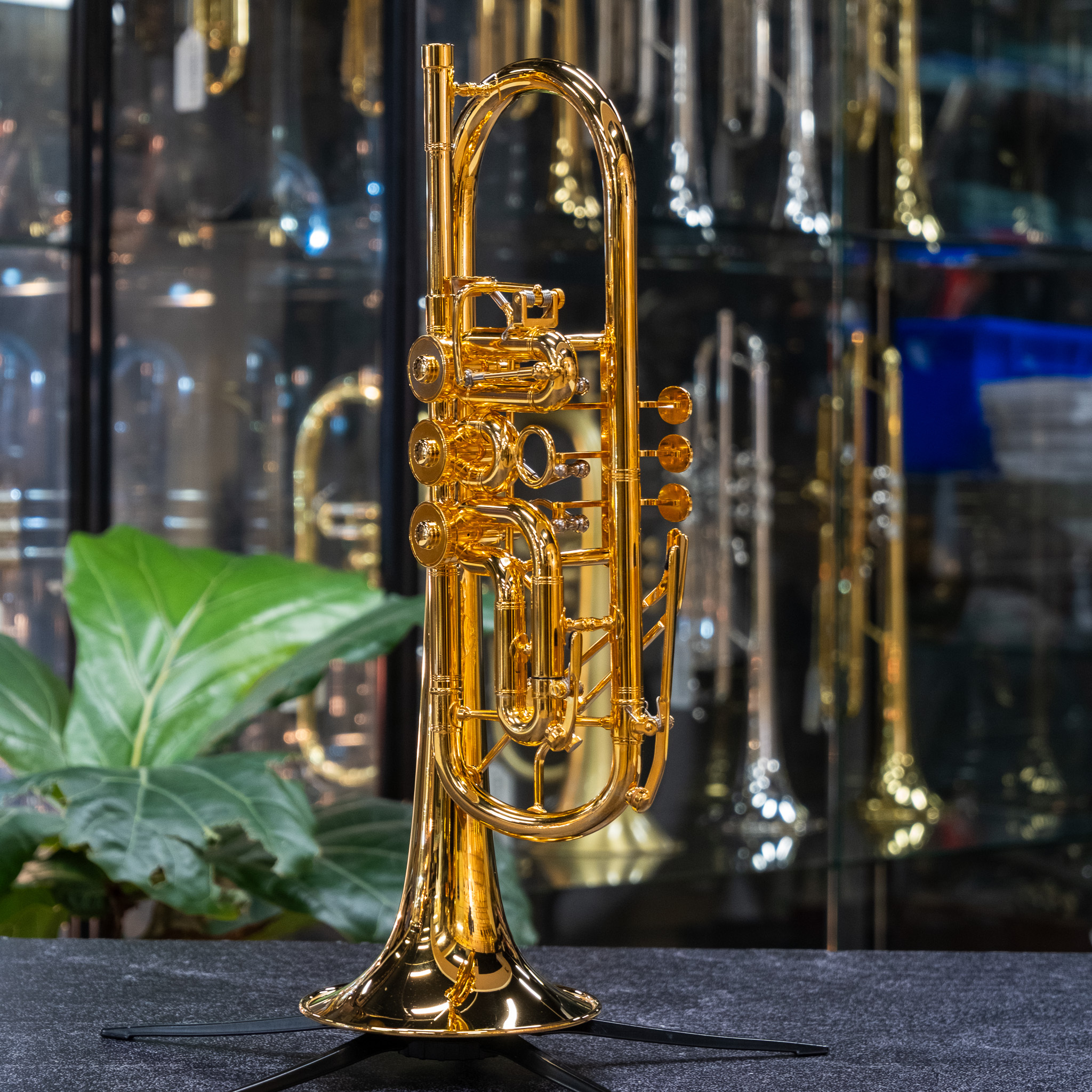 Oberrauch Firenze Rotary C Trumpet - Gold Plated - NEW