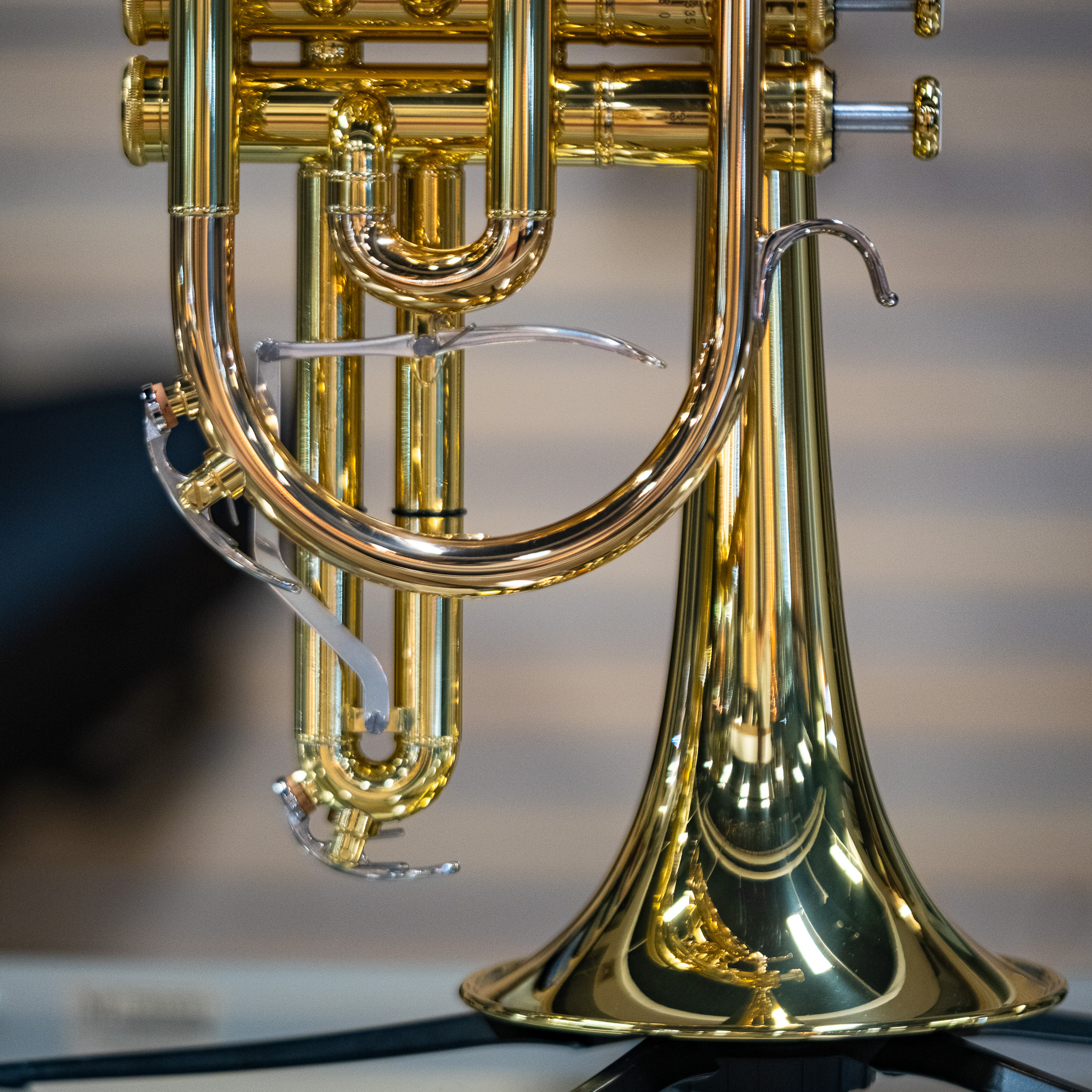 Yamaha YCR-8335II NEO Bb Cornet - New - 086792978697