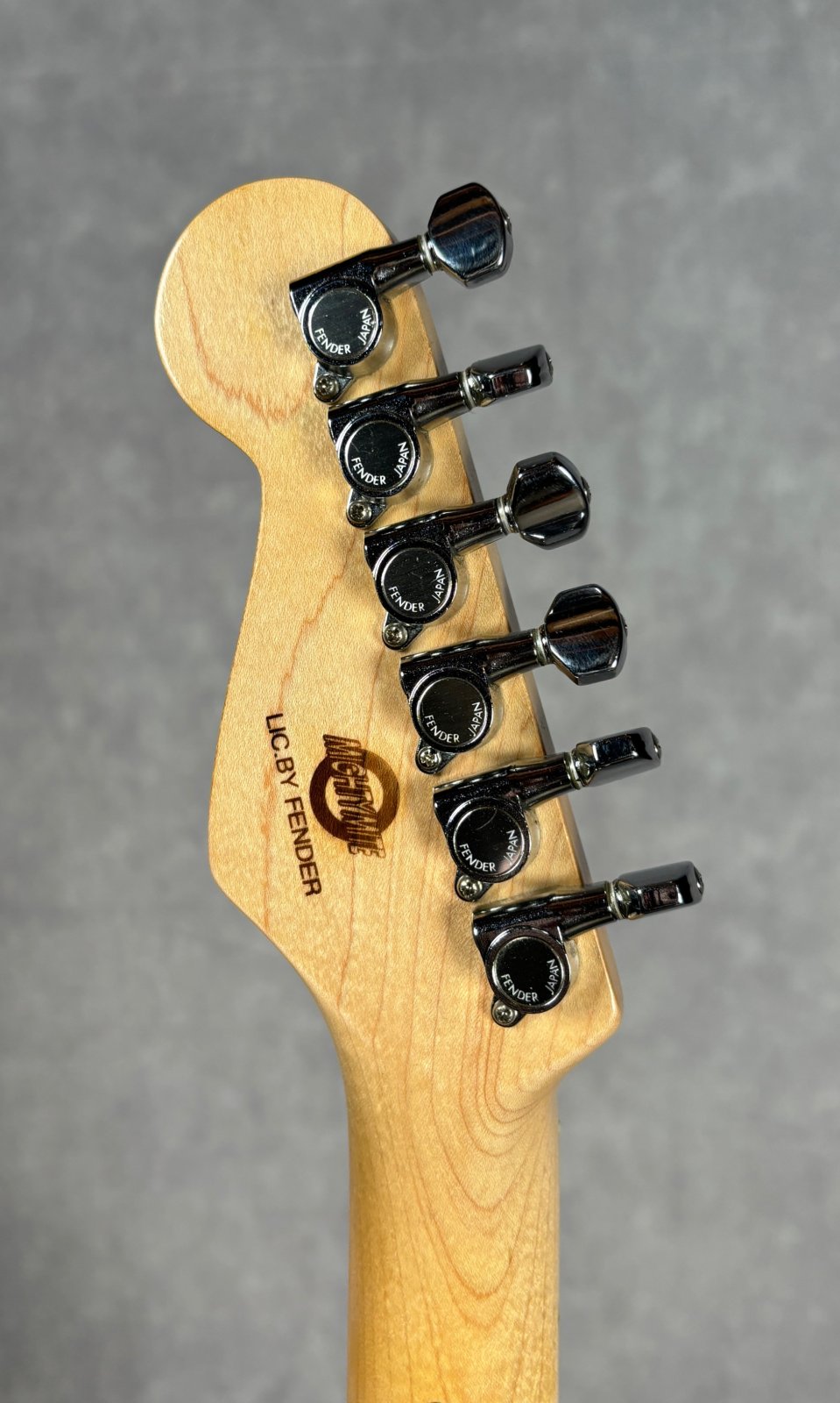Stratcaster,Telecaster用 片側6連 Eric Clapton Stratocaster® – Fender