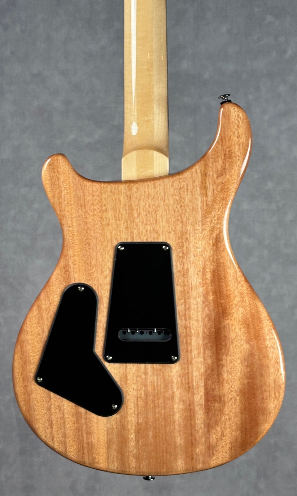 Paul Reed Smith SE Exotic Custom 24 Swamp Ash Burl