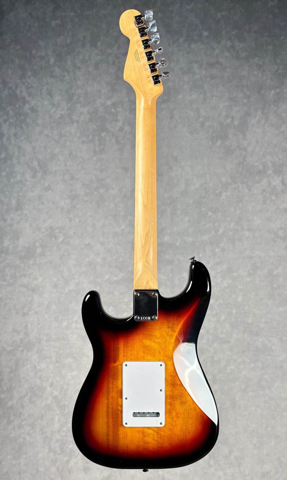 Fender Standard Stratocaster - 885978117871