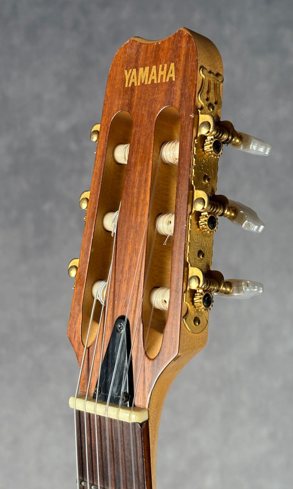 Used Yamaha AEX500NS Nylon String