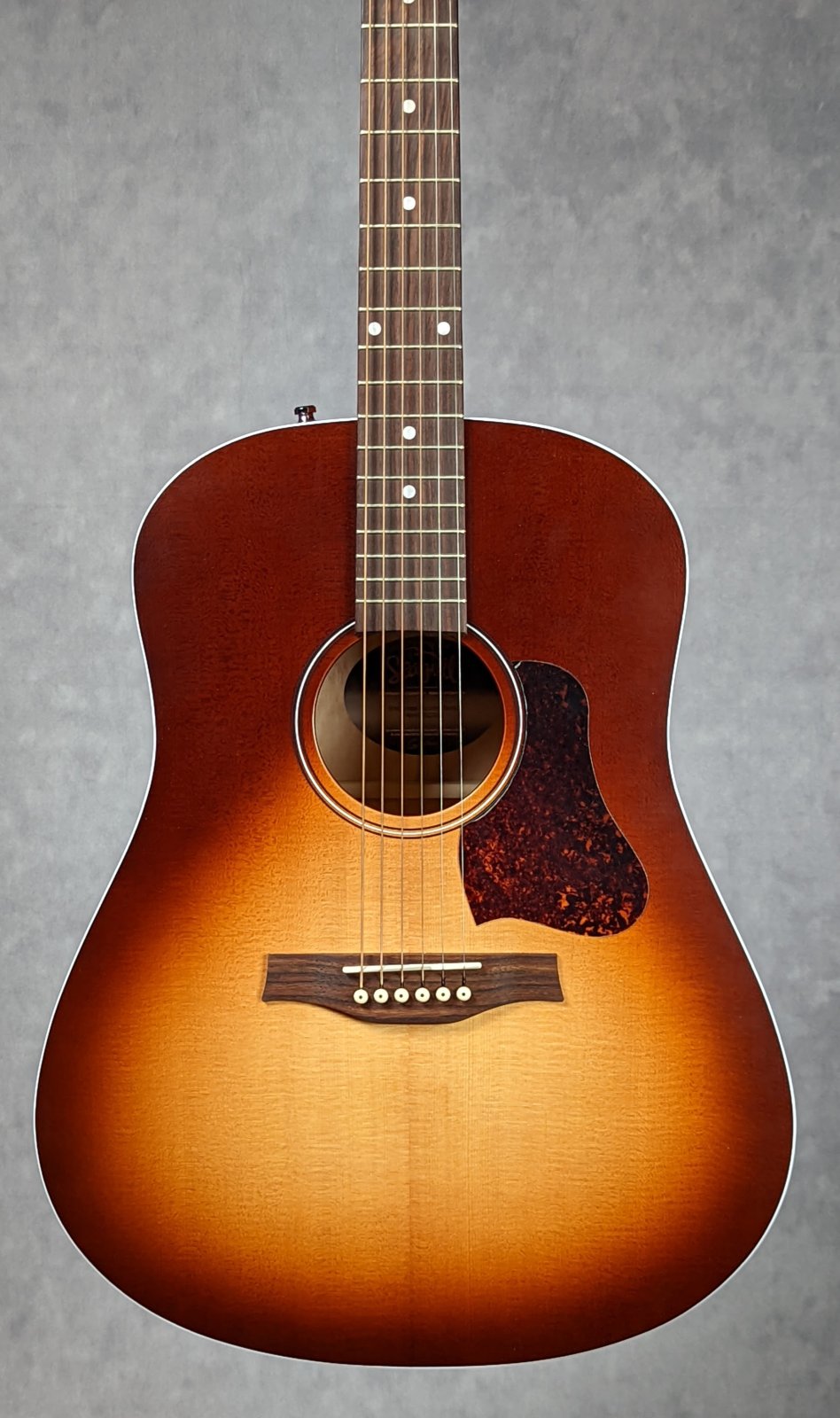 Seagull Entourage Autumn Burst