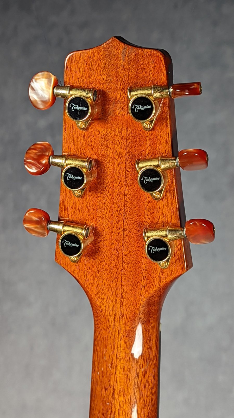 希少品　Takamine Santa Fe ESF93 PXL_20220903_164516980.jpg