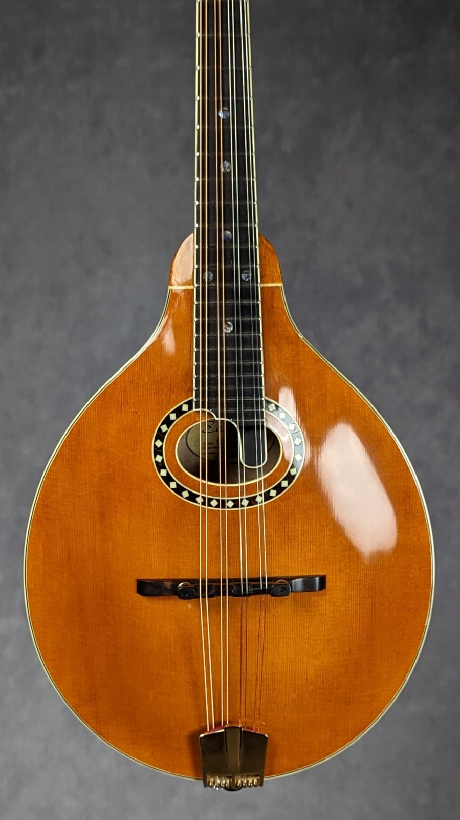 Eastman/イーストマン クラシックマンドリン Eastman(イーストマン)、フラットマンドリンの検索結果1～17件