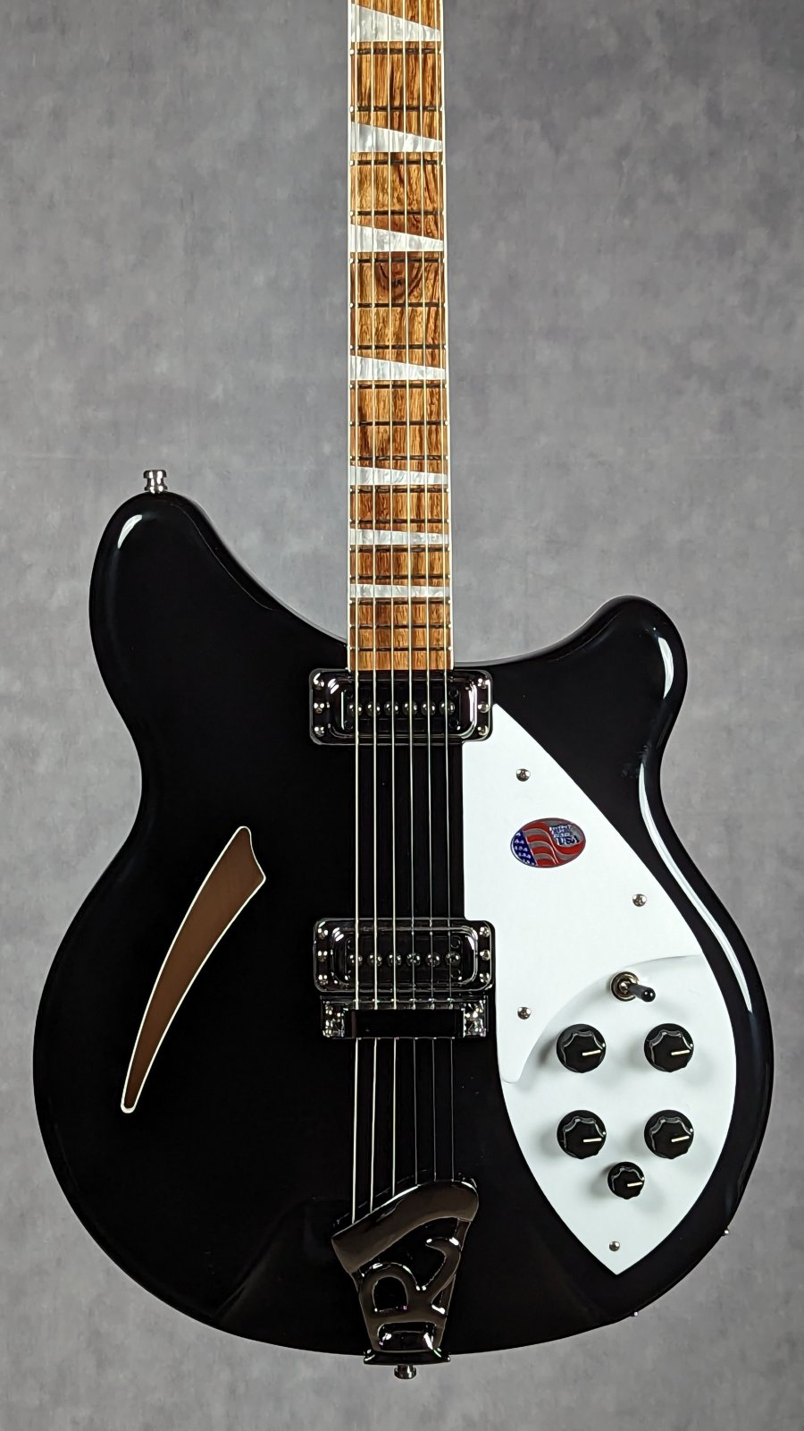 Rickenbackerタイププレート Rickenbacker 360