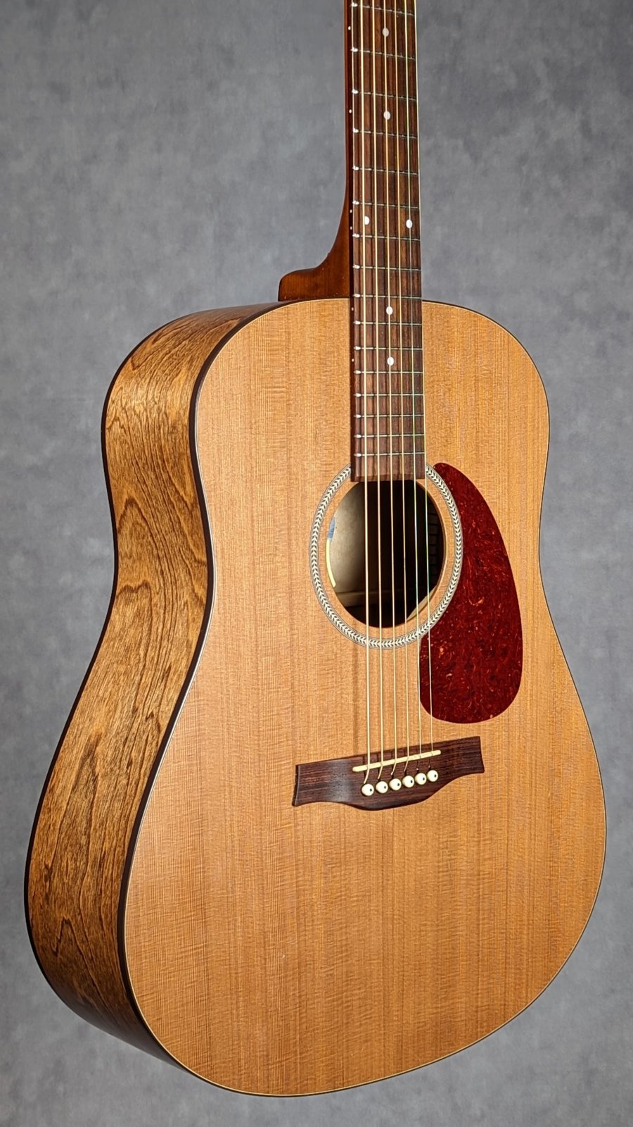 Used Seagull S6 w/ LR Baggs Pickup