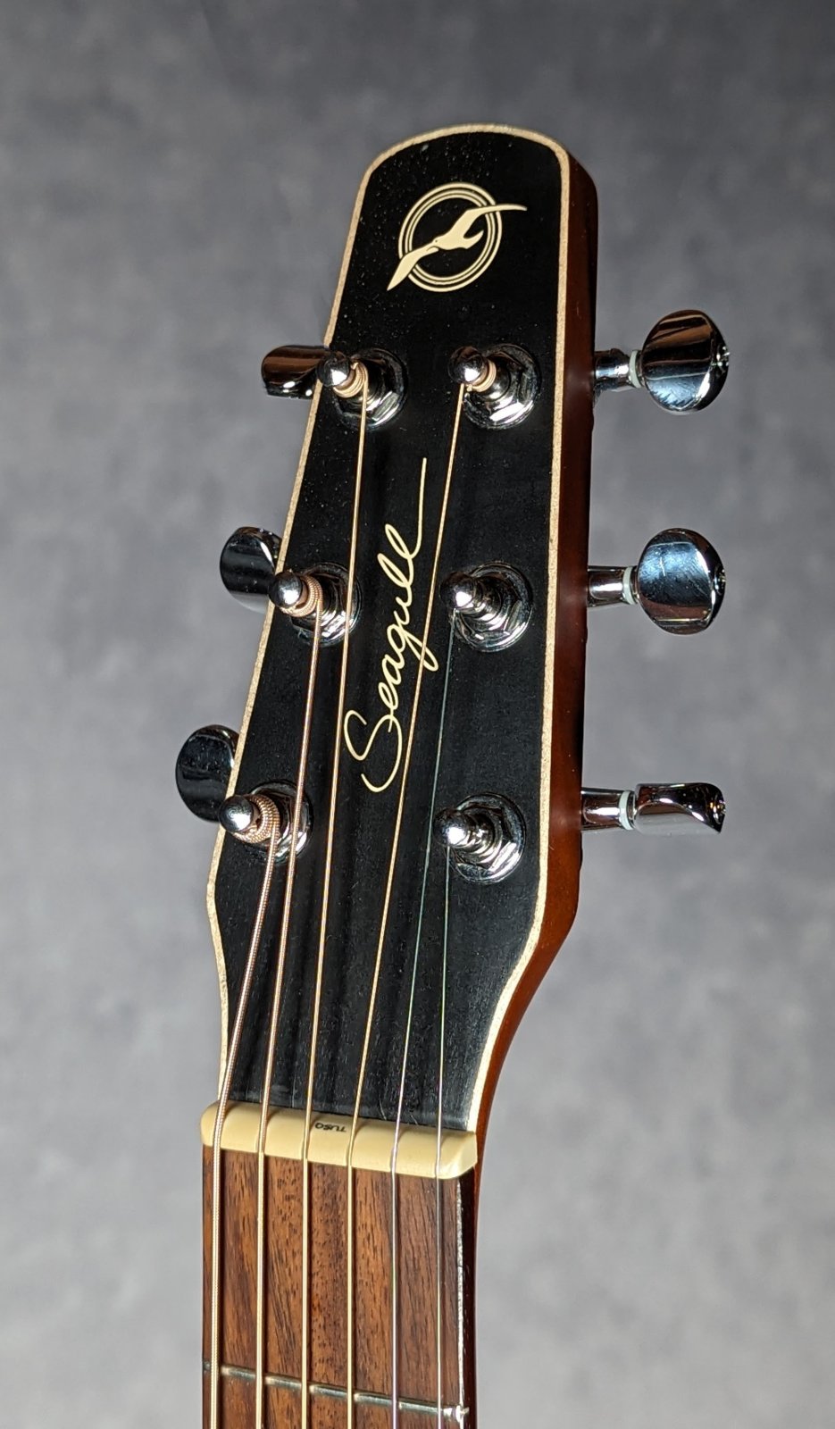 Seagull S6+tobacco L.R.Baggs搭載 エレアコ Seagull S6 CLASSIC BLACK A/E シーガル ｜イケベ楽器店