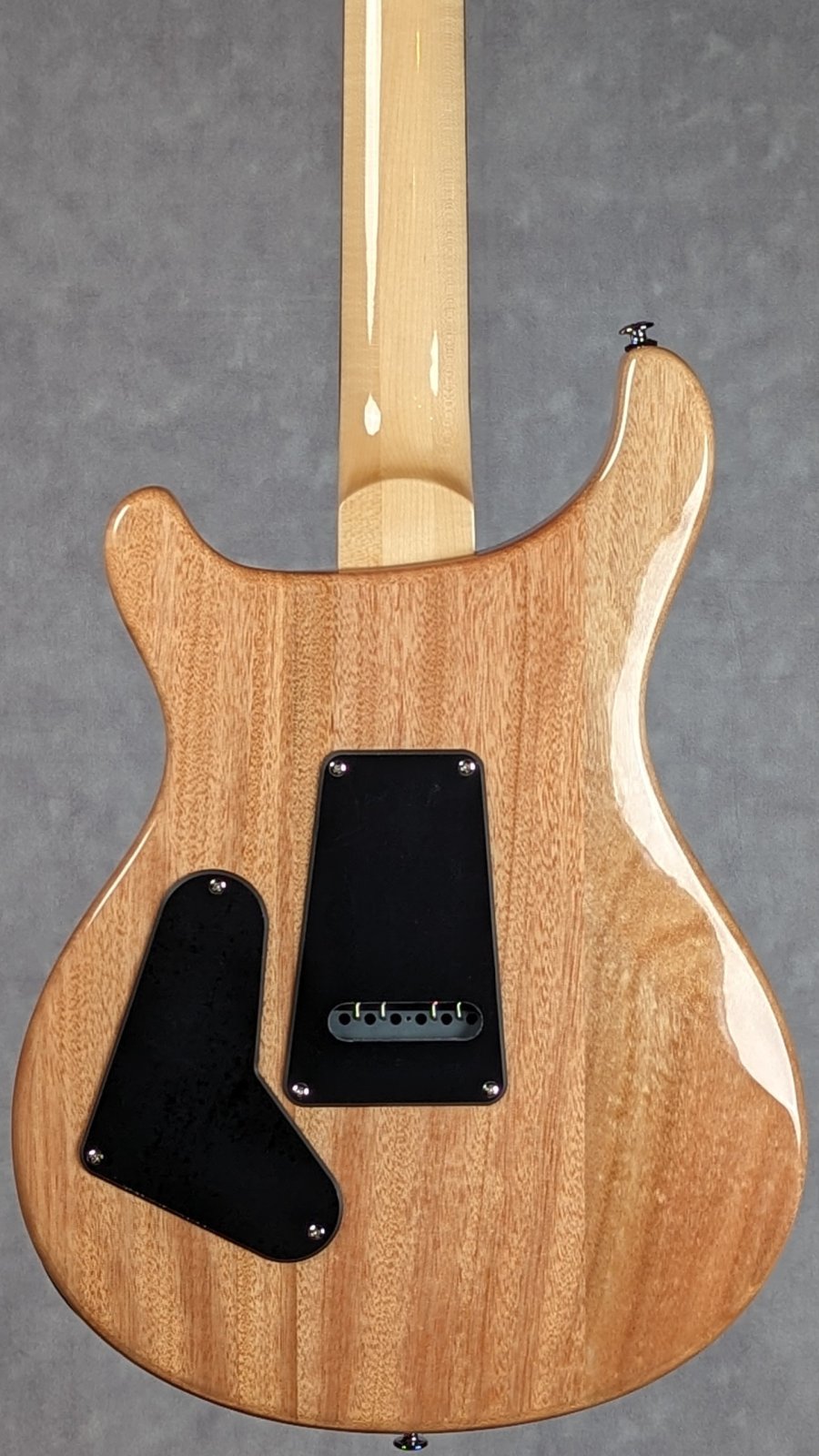 Paul Reed Smith Custom 24 Limited Blue Fade - 825362075363