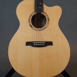 PRS SE A15AL Alex Lifeson Thinline Acoustic Electric Guitar w/Case