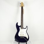 Greg_Bennett_MB_2_Electric_Gui
